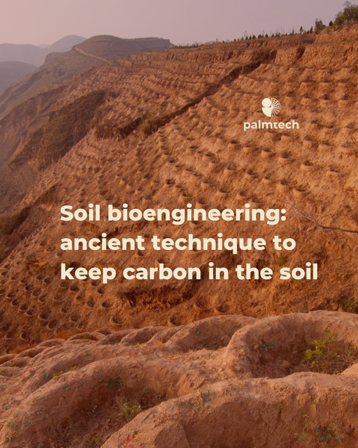 What is soil bioengineering