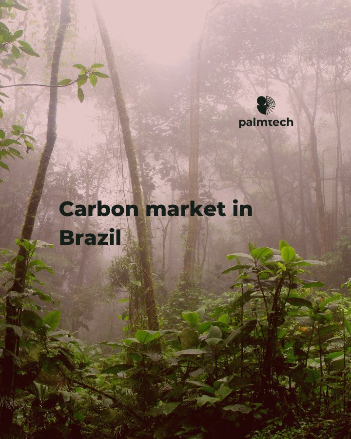 How carbon market works in Brazil