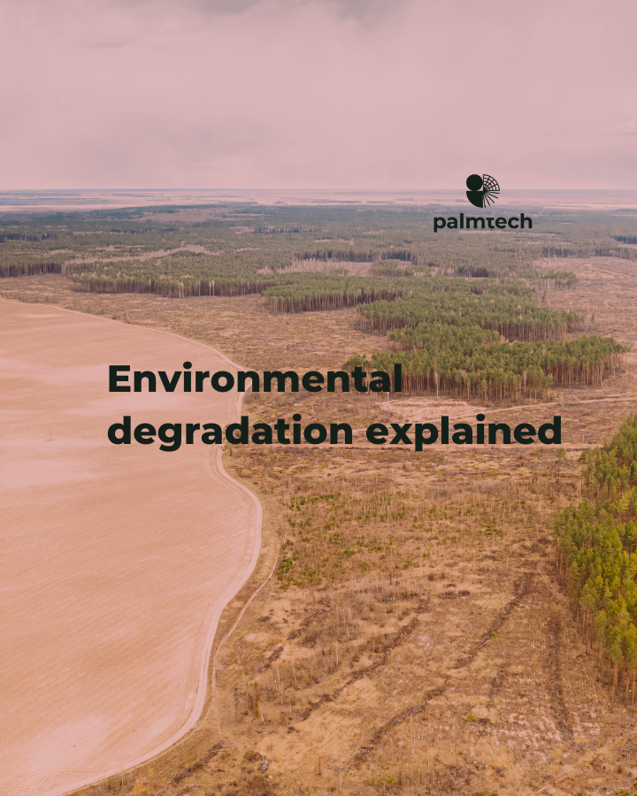 environmental degradation