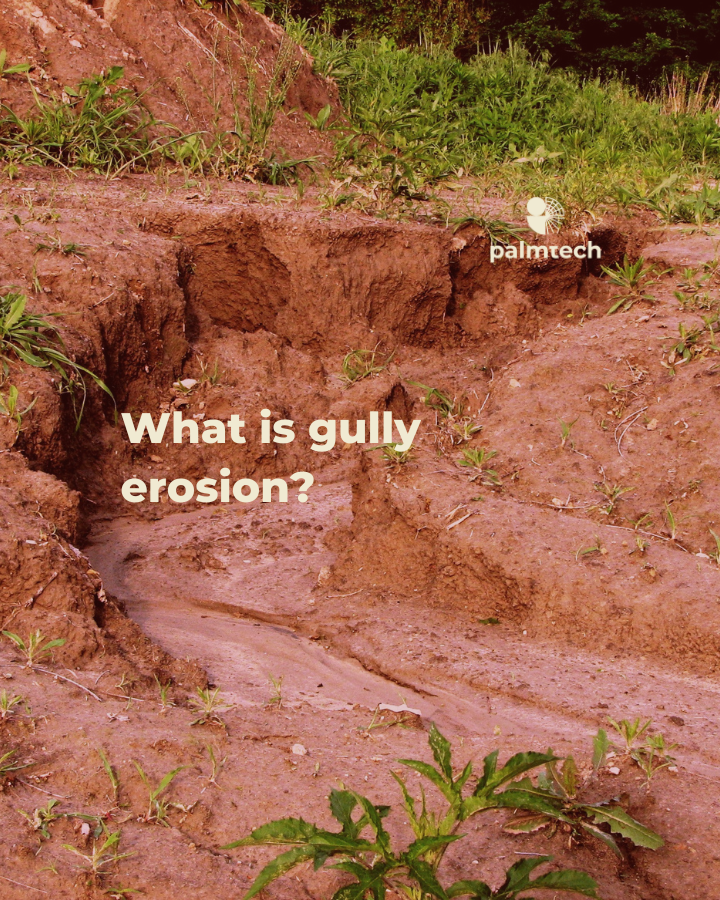 What is gully erosion and how to recover them?