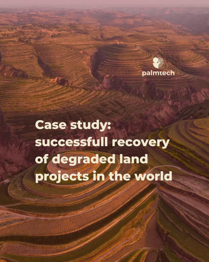 Get inspired by these 3 successful recovery of degraded land around the world and in Brazil